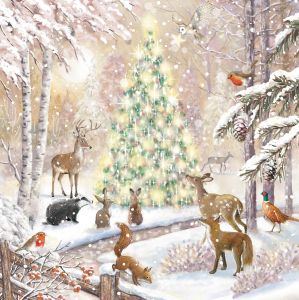 BOX MED SQ Christmas Nature And Winter Beauty Deluxe