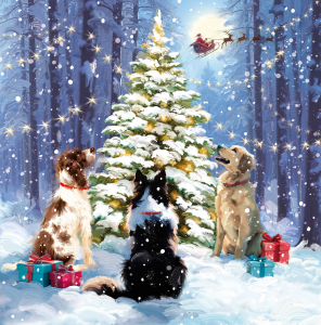 BOX LRG SQ Christmas Animal Collection Deluxe