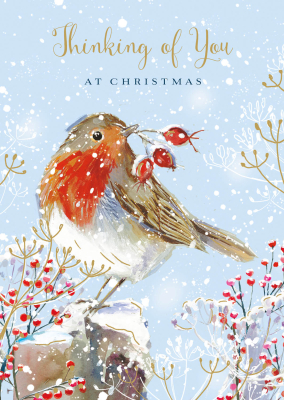 Thinking Of You Robin