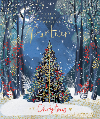 To A Very Special Partner