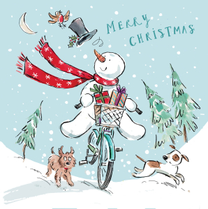 BOX REC Fun Christmas Bumper