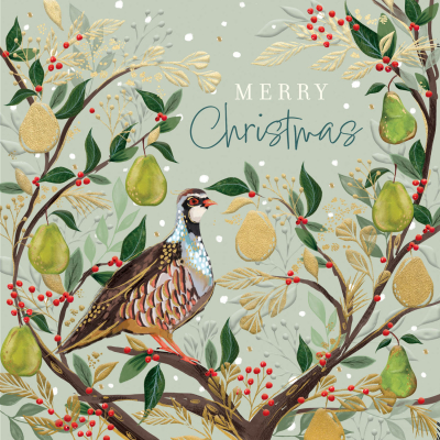 BOX LRG SQ Partridge In A Pear Tree Christmas Classic Luxury