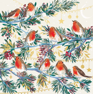 BOX SML SQ Christmas Robins