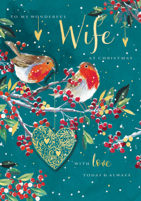 To My Wonderful Wife