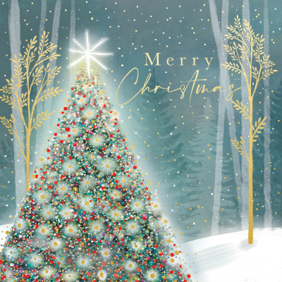 BOX LRG SQ Sparkling Christmas Tree Celebration Premium