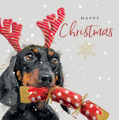 Happy Christmas Dachshund