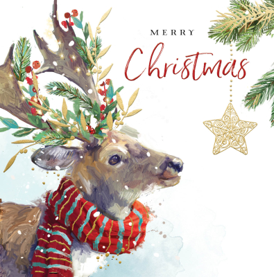 Merry Christmas Reindeer