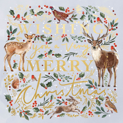 Merry Christmas Reindeer Wishes