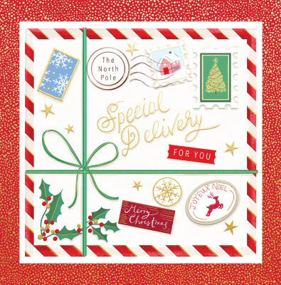 Merry Christmas Special Delivery
