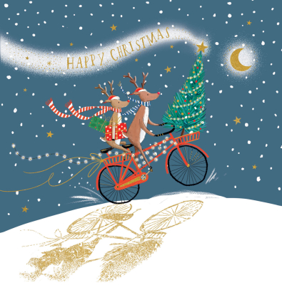 Happy Christmas Reindeer Bike Ride