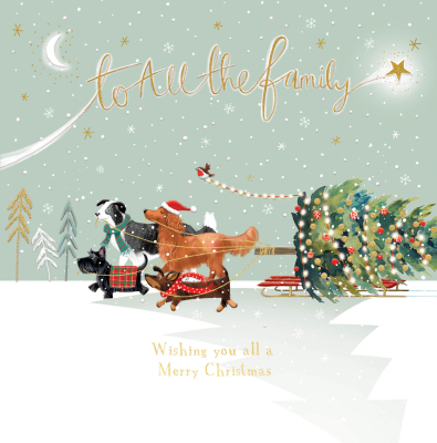 To All The Family Sled