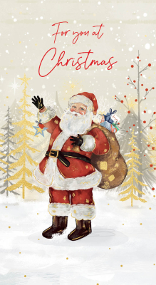 MONEY WALLET For You Santa