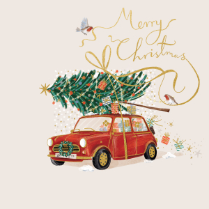 BOX LRG SQ Special Delivery