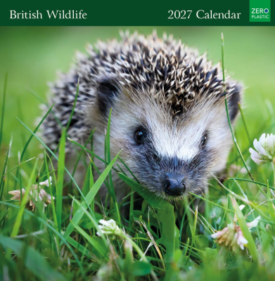 SQUARE CALENDAR The British Wildlife 2027