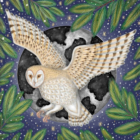 BOX LRG SQ Moonlit Owl