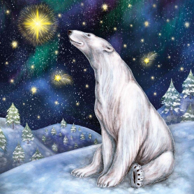 BOX LRG SQ Svalbard Star
