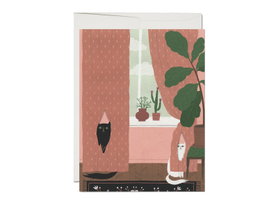 Cat Crimes|Red Cap Cards