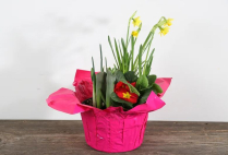 7" BULB PLANTER, POTCOVER