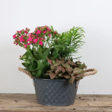 7" PLANTER, EMBOSSED METAL