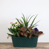 6X11" PLANTER, EMBOSSED OVAL