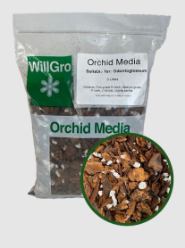 ODONTOGLOSSUM, MEDIA, BOX OF 16 BAGS