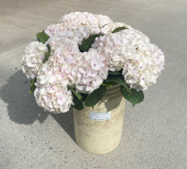 HYDRANGEA, 60CM, BLUSH