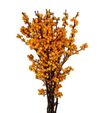 ILEX, GOLDEN, 40CM