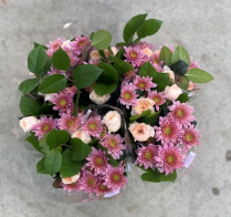 BOUQUET, 6/PAIL, ROSE & MUM