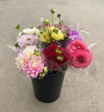 CONS BU, DAHLIA, 5 STEM SLEEVE/UPC