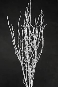 BRANCH, PAINTED WHITE, 70CM