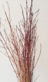 HUCK, BUNCH, ALPINE (STICKS)