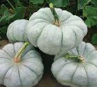 PUMPKIN, BLUE DOLL
