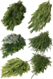 BOUGHS, MIXED CASE, 3LB BUNCHES