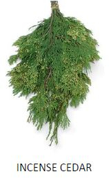 BOUGHS, INCENSE CEDAR, 1.5LB BU/CS  2301
