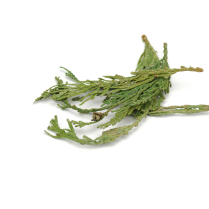 TIPS, CEDAR, 20LB BULK CASE