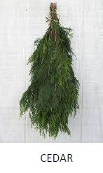 BOUGHS, CEDAR, 3LB, BUNCHES