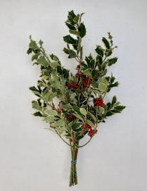 HOLLY, VARIEGATED/BERRIED, 10LBS BULK