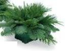 CENTERPIECE, PREGREENED, 1 CANDLEHOLDER 2063