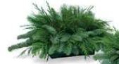 CENTERPIECE, PREGREENED, 2 CANDLEHOLDER 2064
