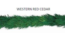 GARLAND, 25FT, WESTERN RED CEDAR