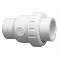 Praher 2" Single Union Spring Check Valve - 1/4LB - 2 LB