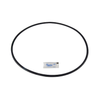 Pentair PLM Filter Tank O-Ring
