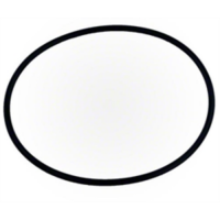 Pentair O-Ring Valve Body 3/16" x 6.5" ID