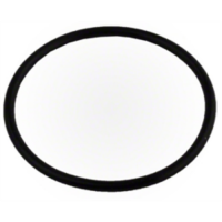 ORNG 1/8"x2"ID 2-229BUN