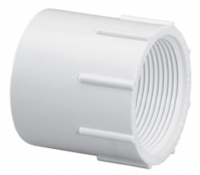 Plumbing 1 1/2 Female Adapter (SxFIPT)"