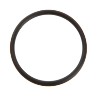 Pentair Pump Union Adapter O-Ring