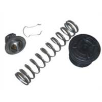 THERMAL REGULATOR PACKAGE