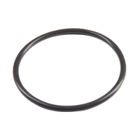 Hayward A/G Chlorinator Lid O-Ring