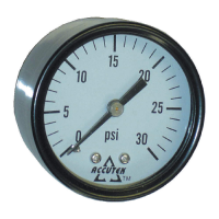 2" Back Mount Plastic Pressure Gauge - 0-30 PSI