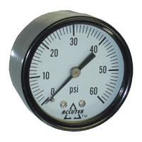 2" Back Mount Plastic Pressure Gauge - 0-60 PSI